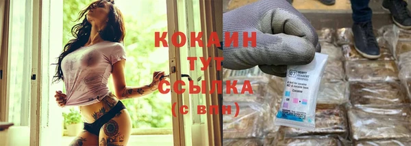 твердый Абаза