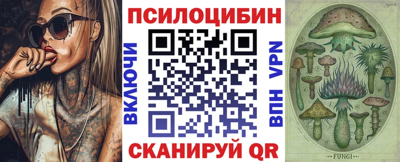 Галлюциногенные грибы Magic Shrooms  Дальнереченск 