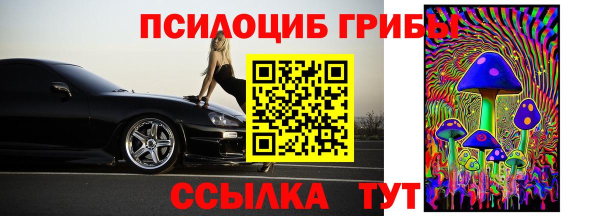 Псилоцибиновые грибы Cubensis Дальнереченск