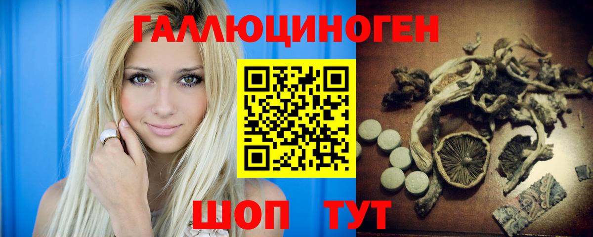 Галлюциногенные грибы Cubensis  Вход с VPN  Дальнереченск  Псилоцибиновые грибы Psilocybine cubensis 
